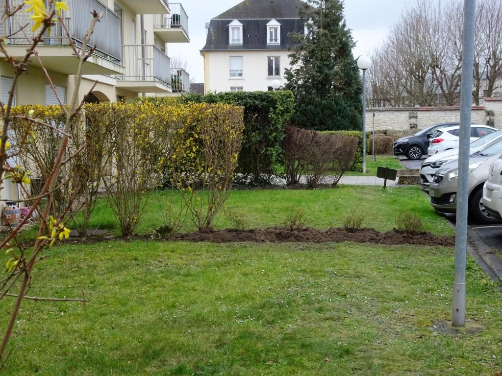 Prolongement haie